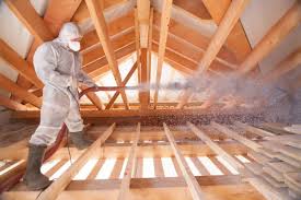 Best Blown-In Insulation  in Minneota, MN